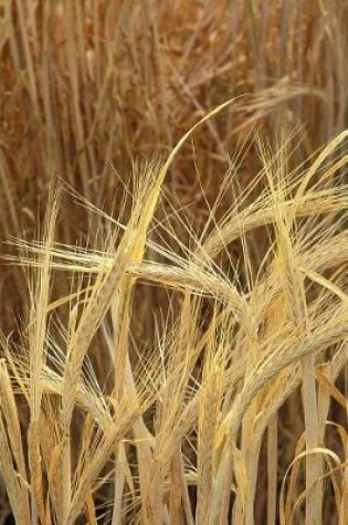 Cover of Farm Journal Barley Growing Field