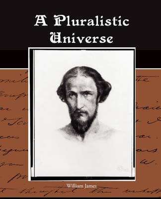 Book cover for A Pluralistic Universe