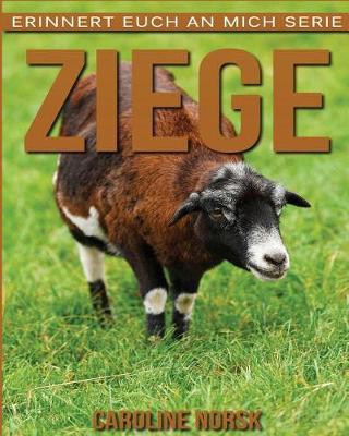 Book cover for Ziege