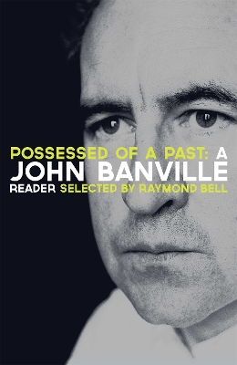 Book cover for Possessed of a Past: A John Banville Reader