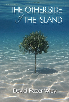 Book cover for The Other Side Of The Island