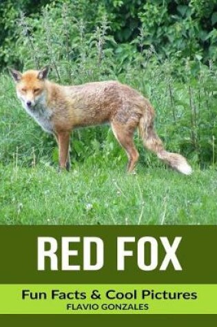 Cover of Red Fox