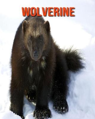 Book cover for Wolverine