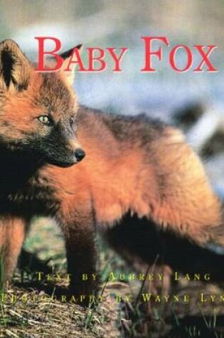 Cover of Baby Fox