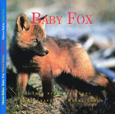 Cover of Baby Fox