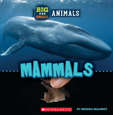 Book cover for Mammals (Wild World: Big and Small Animals)