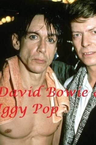 Cover of David Bowie & Iggy Pop