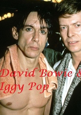 Book cover for David Bowie & Iggy Pop