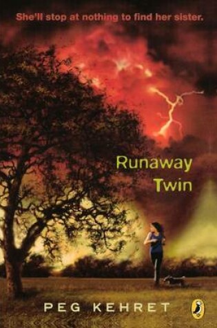 Cover of Runaway Twin