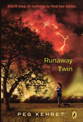 Book cover for Runaway Twin
