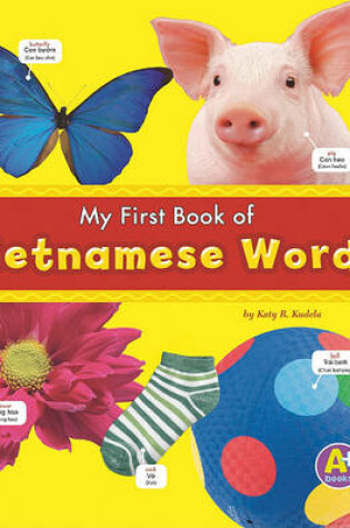 Cover of My First Book of Vietnamese Words