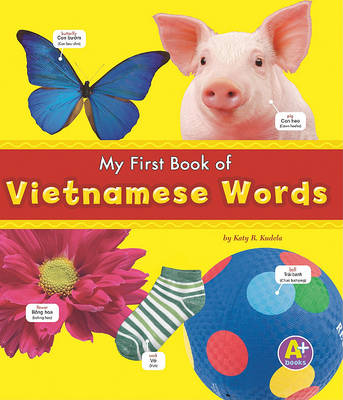 Book cover for My First Book of Vietnamese Words