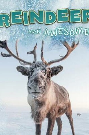Cover of Reindeer Are Awesome