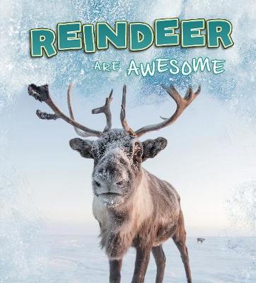 Book cover for Reindeer Are Awesome