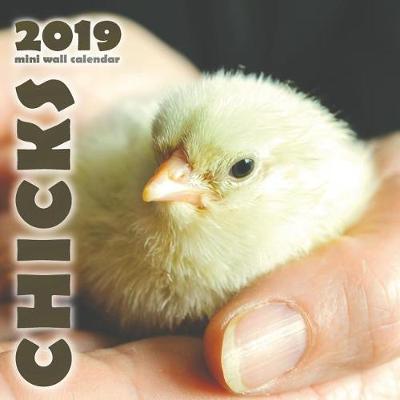 Book cover for Chicks 2019 Mini Wall Calendar