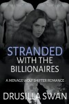 Book cover for Stranded With the Billionaires
