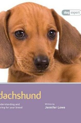 Cover of Dachshund - Dog Expert