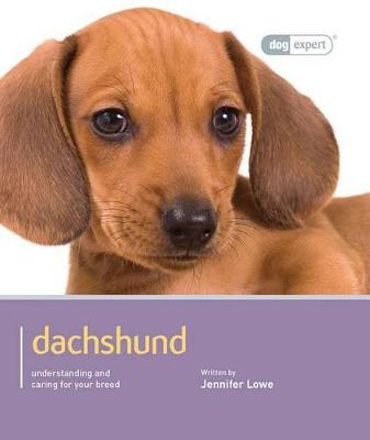 Cover of Dachshund - Dog Expert