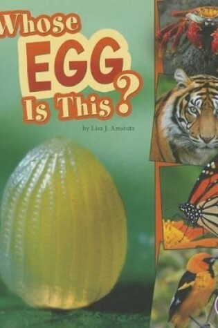 Cover of Whose Egg Is This?