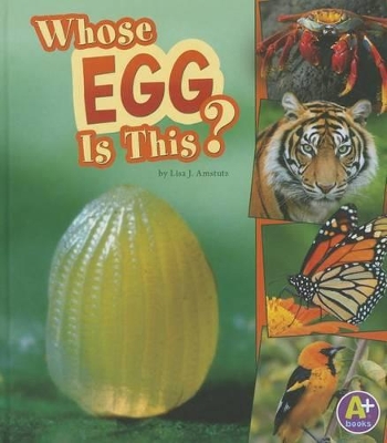Book cover for Whose Egg Is This?