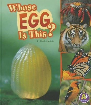 Cover of Whose Egg Is This?