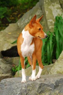 Book cover for The Basenji Dog Journal