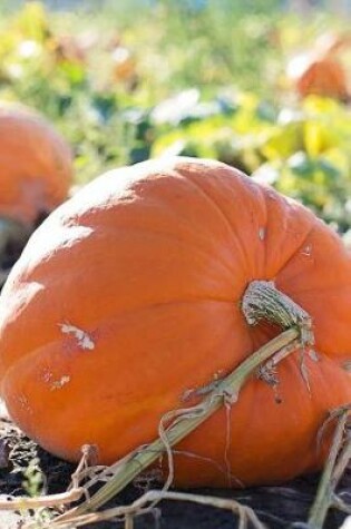 Cover of In the Pumpkin Patch Harvest Journal