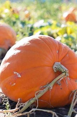 Book cover for In the Pumpkin Patch Harvest Journal