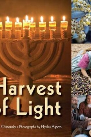 Cover of Harvest of Light