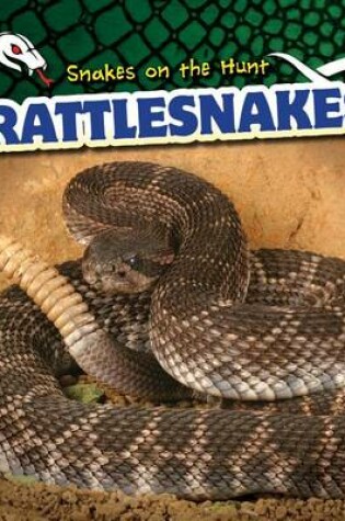 Cover of Rattlesnakes