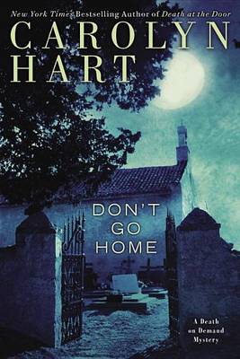 Book cover for Don't Go Home