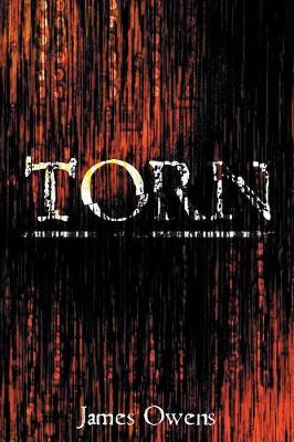 Book cover for Torn