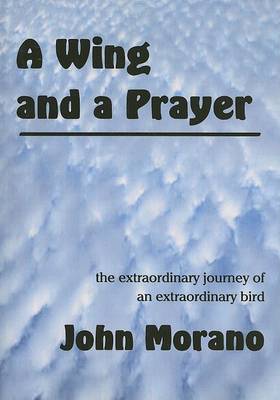 Book cover for A Wing and a Prayer