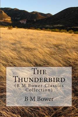 Book cover for The Thunderbird