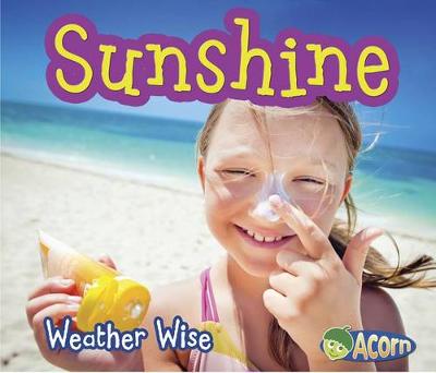 Book cover for Sunshine (Weather Wise)