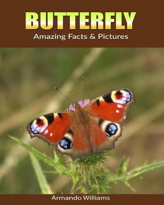 Book cover for Butterfly