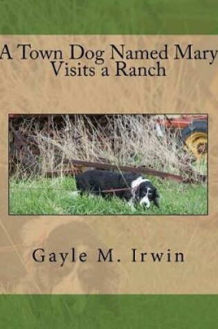 Cover of A Town Dog Named Mary Visits a Ranch