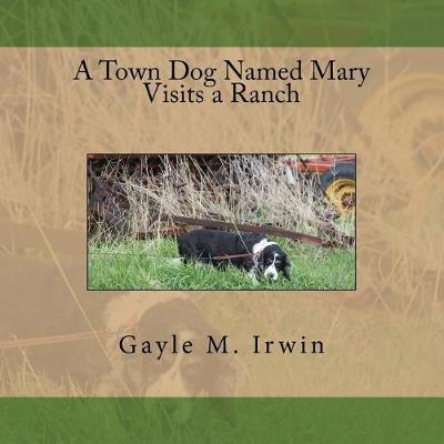 Book cover for A Town Dog Named Mary Visits a Ranch