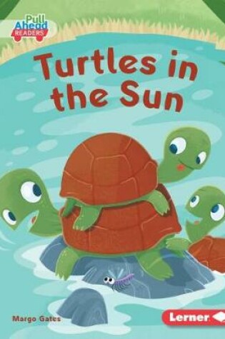 Cover of Turtles in the Sun