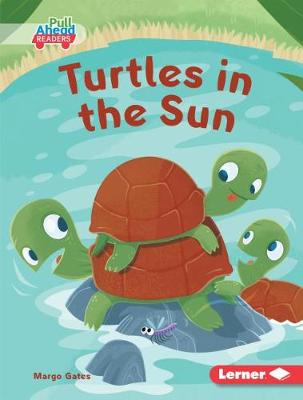 Book cover for Turtles in the Sun