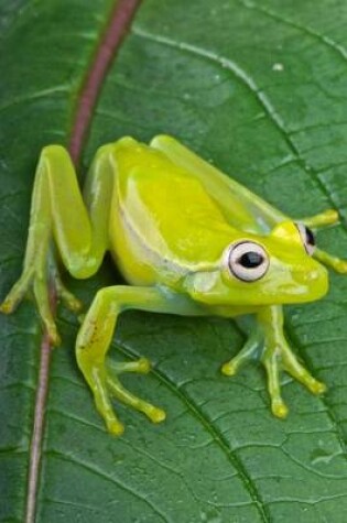 Cover of Fleischmann's Glass Frog Journal