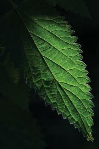 Cover of Nettle Leaf Sketchbook