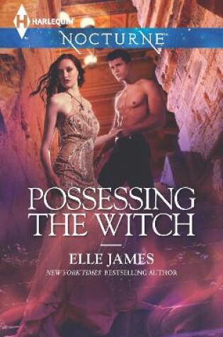 Cover of Possessing The Witch