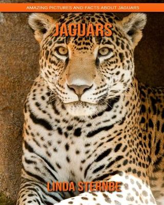 Book cover for Jaguars