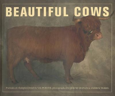 Book cover for Beautiful Cows
