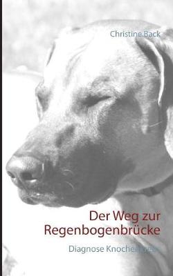 Book cover for Der Weg zur Regenbogenbrucke