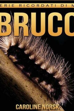 Cover of Bruco
