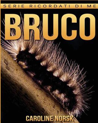 Book cover for Bruco
