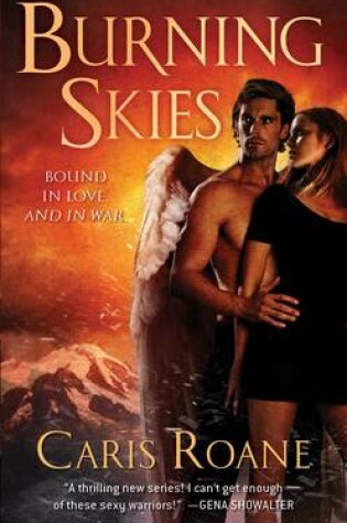 Cover of Burning Skies