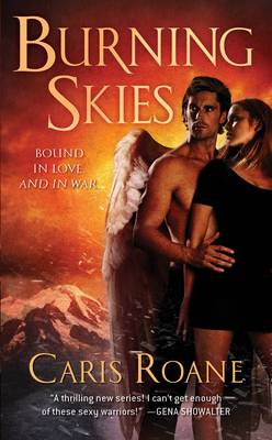 Book cover for Burning Skies